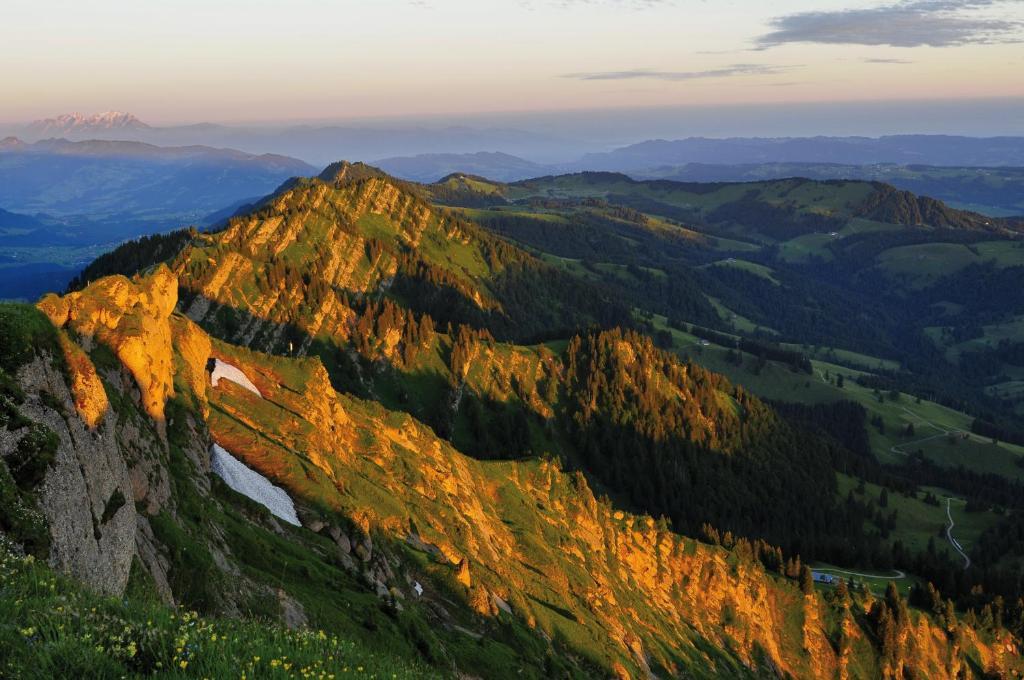 Alpin & Wellness Resort Hotel Ludwig Royal Oberstaufen Ngoại thất bức ảnh